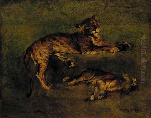 Tiger Studies - view 1