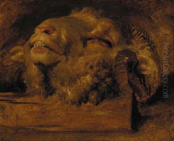 A Ram's Head - view 1