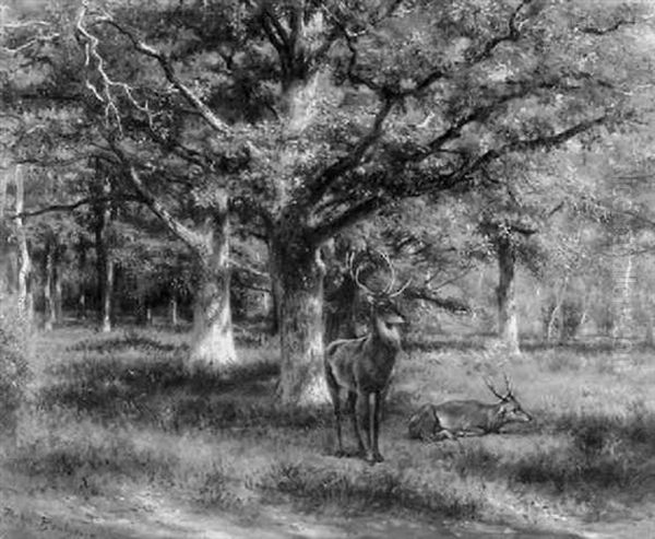 Deer On The Edge Of A Wood - view 1