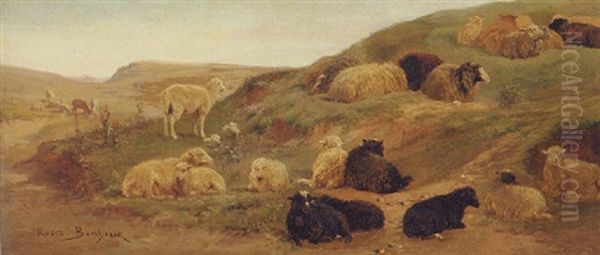 Sheep In Summer Pastures - view 1