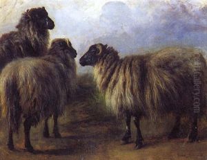 Moutons Ecossais by Rosa Bonheur