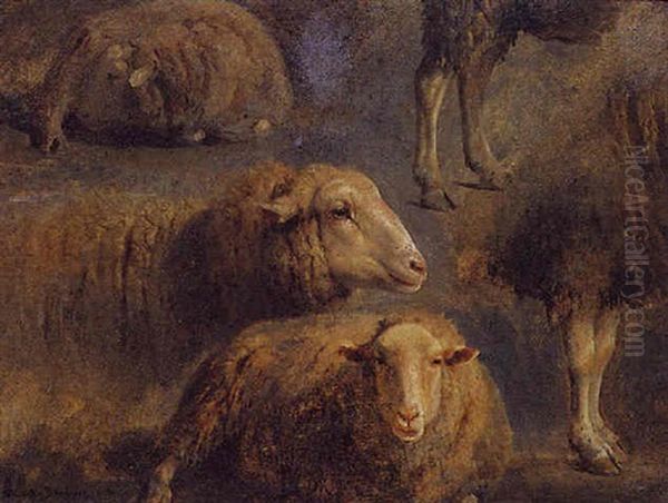 Moutons - view 1