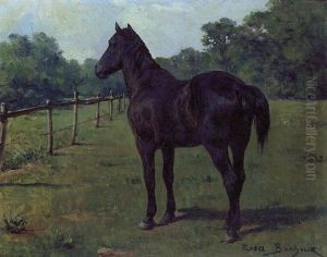 Cheval Au Pre