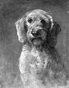 Sitzender Rauhhaardackel by Rosa Bonheur