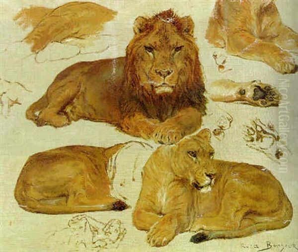 A Study Of Lions - view 1
