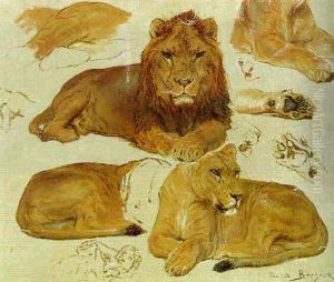 A Study Of Lions by Rosa Bonheur