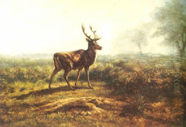 A Stag In A Landscape, Early Morning - view 1