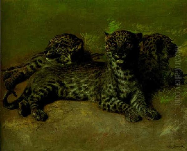 Persian Leopards - view 1
