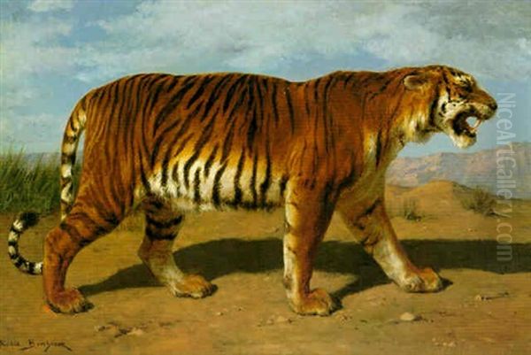 Royal Tiger - view 1