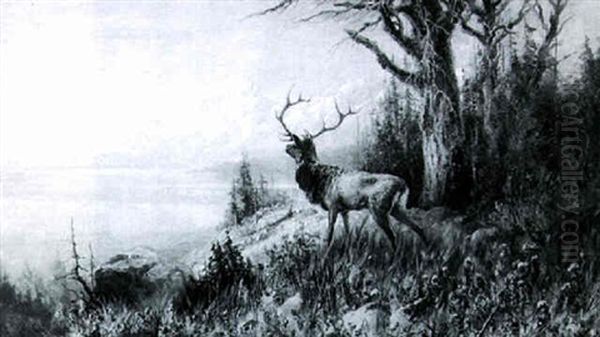 A Stag In Mountain Landscape - view 1