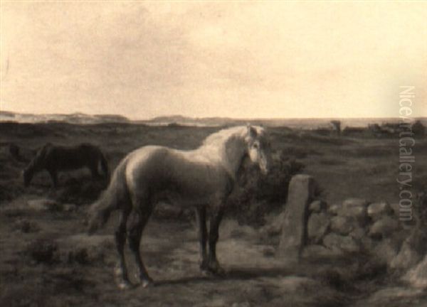Chevaux Au Bord De La Mer - view 1