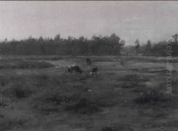 Cows In A Meadow - view 1