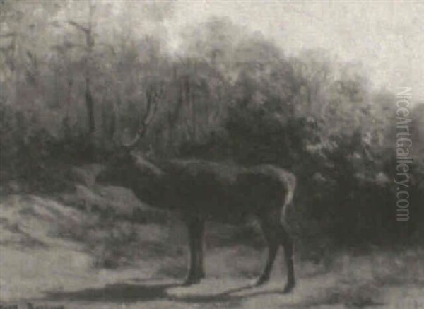Stag In A Landscape - view 1