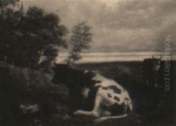 Cattle Resting In A Landscape - view 1