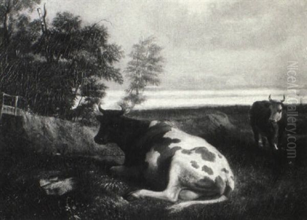 Bucolic Landscape Scene With Cattle - view 1