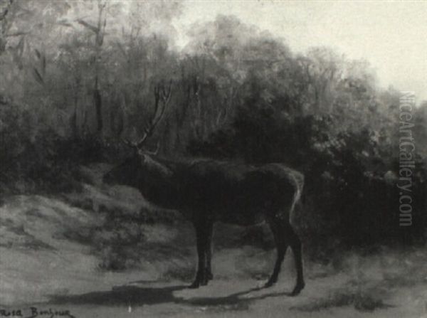 Un Cerf Dans La Foret - view 1