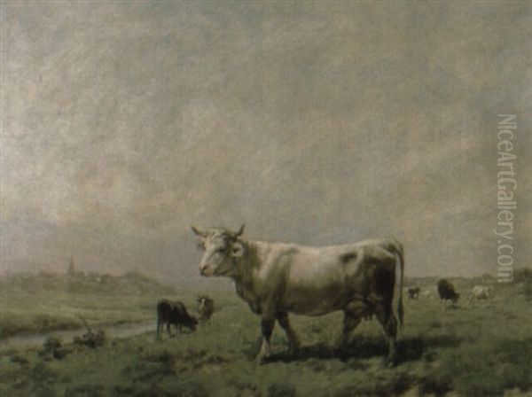Cattle In A Meadow - view 1