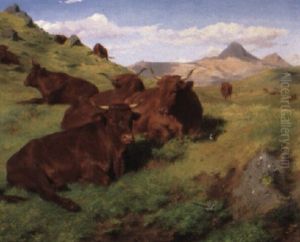 Red Cattle Resting On A Grassy Hill