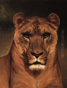 Head Of A Lioness