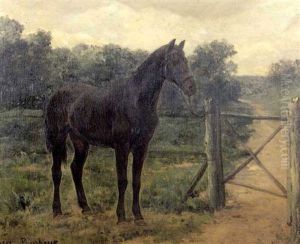 Cheval Noir Dans Un Pre by Rosa Bonheur