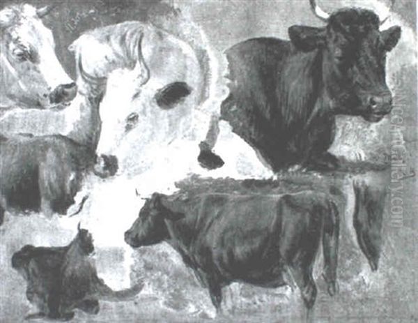 Studies Of Cattle - view 1