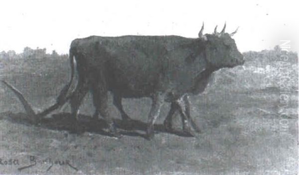 Boeufs Atteles A La Charrue - view 1
