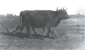 Boeufs Atteles A La Charrue by Rosa Bonheur