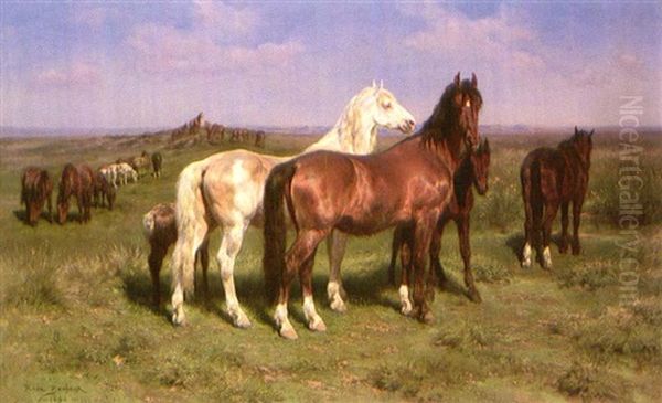 Wild Horses On The Open Plains - view 1