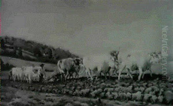 Cattle Train - view 1