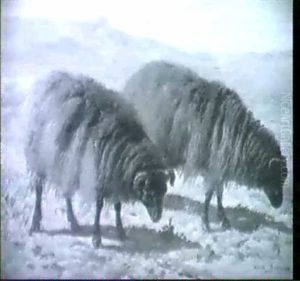 Grazing Sheep by Rosa Bonheur