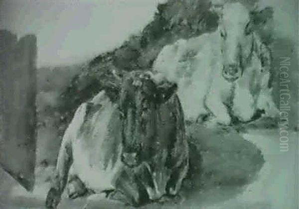 Studie - view 1