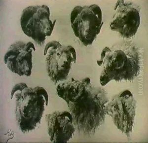 Studies Of Ram's Heads by Rosa Bonheur