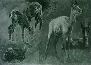 Etude De Biches by Rosa Bonheur
