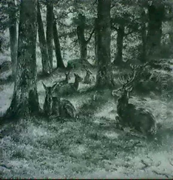 Cerfs Et Biches En Foret De Fontainebleau - view 1