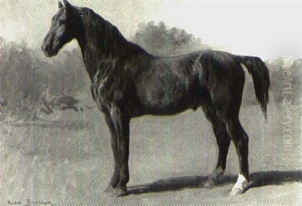 A Bay Horse In Landscape - view 1