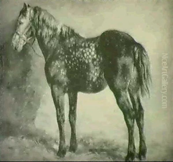Study Of A Dark Dapple-grey - view 1