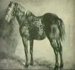 Study Of A Dark Dapple-grey by Rosa Bonheur