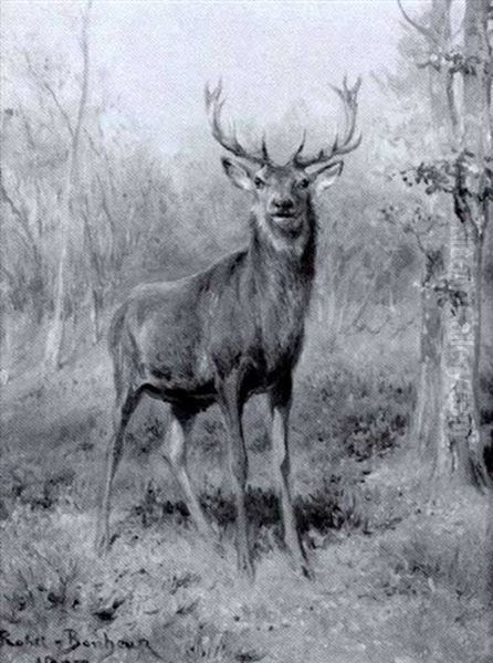 Stag In A Landscape - view 1