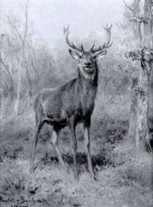Stag In A Landscape by Rosa Bonheur
