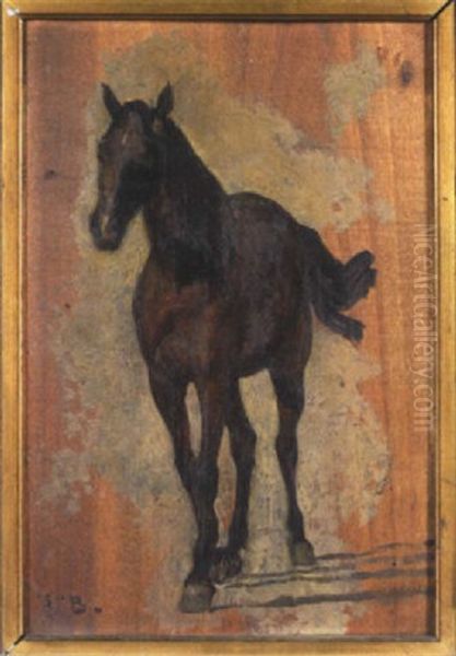 Etude De Cheval - view 1