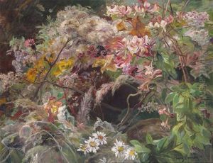 Wild Flowers Wild Flowers