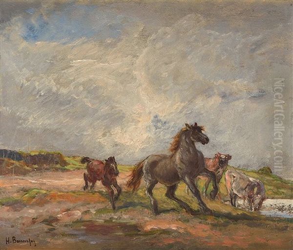 Chevaux Sauvages - view 1