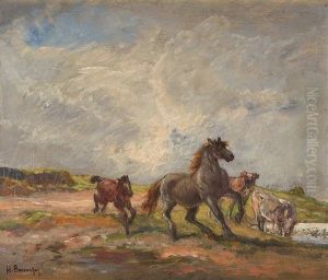 Chevaux Sauvages