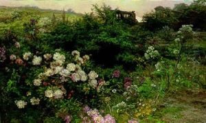A Summer Garden A Summer Garden