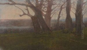 Entrata Nel Bosco by Alberto Bonomi