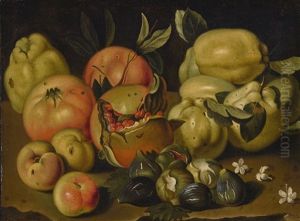 Still Life With Apples, Pomegranates, Quinces. Figs And Jasmine