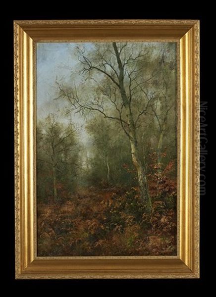 The Silver Birches - view 1