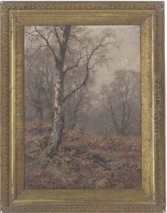 A Silver Birch In An Autumnal Wood by Walter Boodle