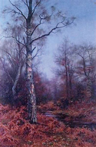 Autumnal Woodland Scene With Stag - view 1