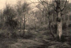 A March Morning In The Woods